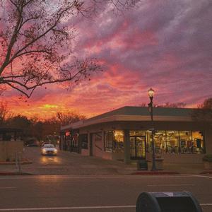 在线观看免费黄片兽人
