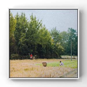 在线观看免费黄片兽人
