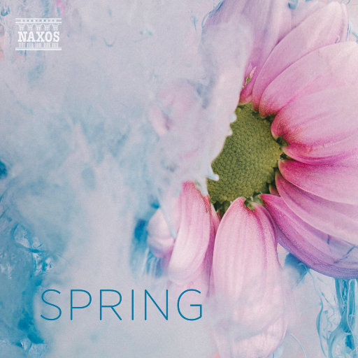 在线观看免费黄片兽人
